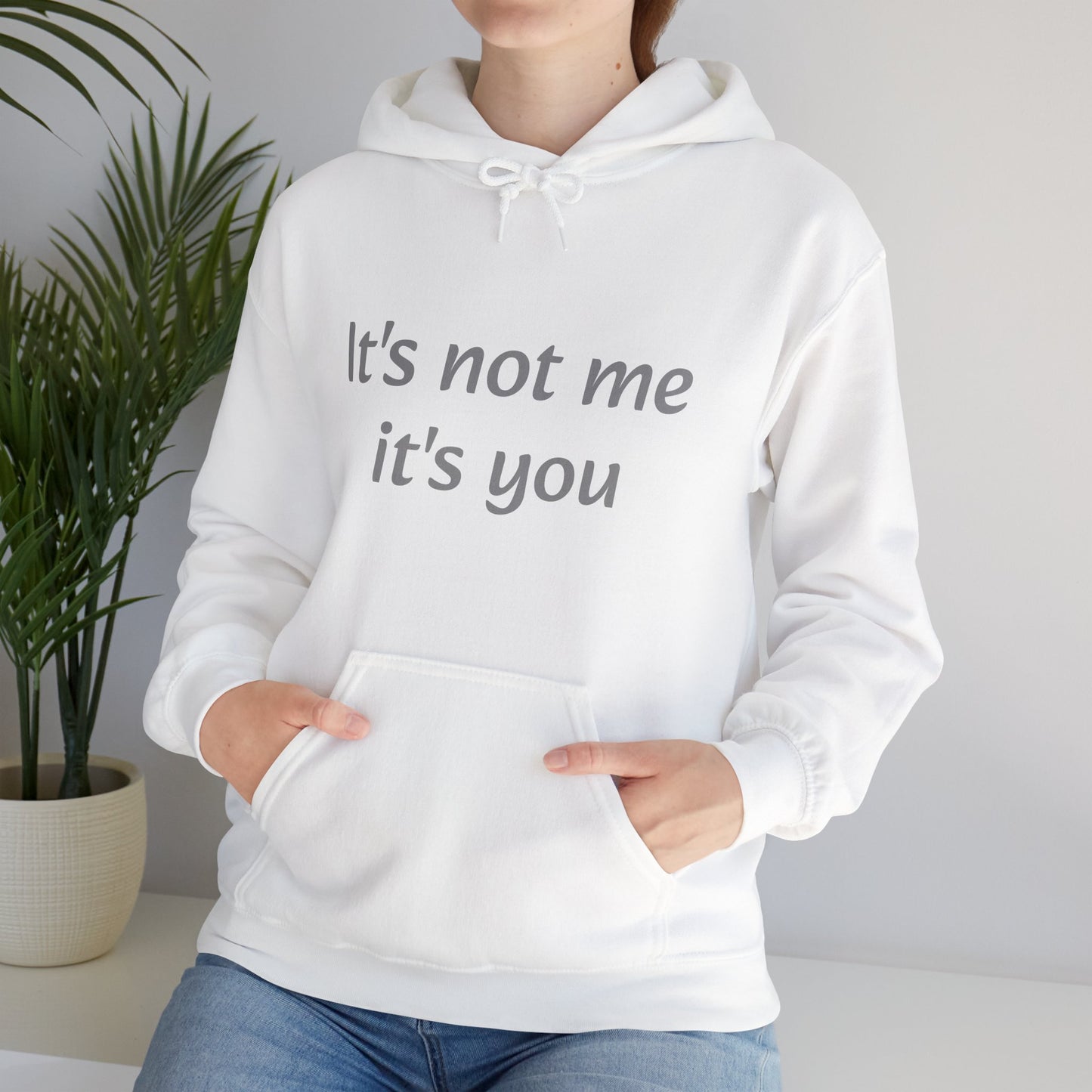 it's not me it's you hoodie